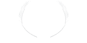 Playa Film Festival 2025 Official Selection