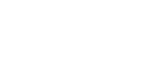 Third Culture Film Festival 2026 Official Selection